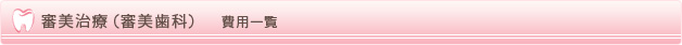 審美治療（審美歯科）　費用一覧