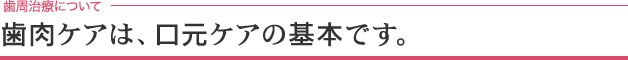 歯肉ケアは、口元ケアの基本です。